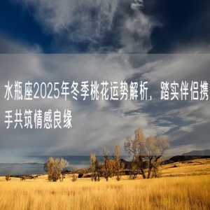 水瓶座2025年冬季桃花运势解析，踏实伴侣携手共筑情感良缘
