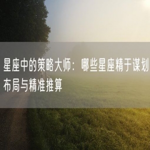 星座中的策略大师：哪些星座精于谋划布局与精准推算