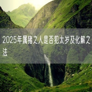 2025年属猪之人是否犯太岁及化解之法