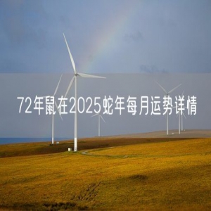 72年鼠在2025蛇年每月运势详情