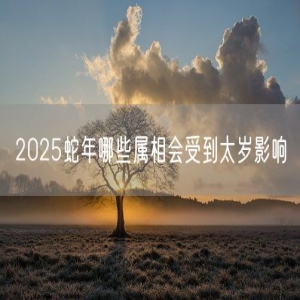 2025蛇年哪些属相会受到太岁影响