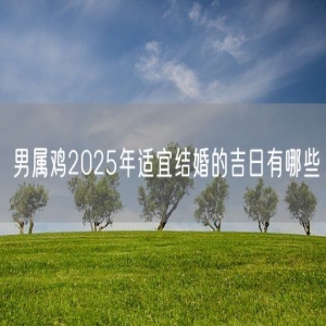 男属鸡2025年适宜结婚的吉日有哪些