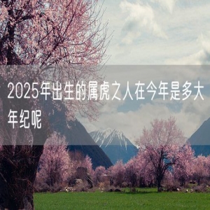 2025年出生的属虎之人在今年是多大年纪呢