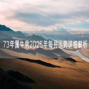73年属牛男2025年每月运势详细解析