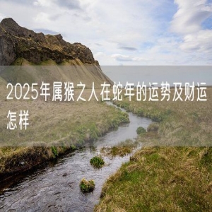 2025年属猴之人在蛇年的运势及财运怎样