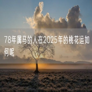 78年属马的人在2025年的桃花运如何呢