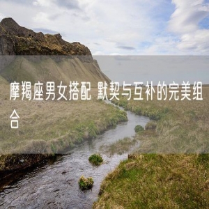 摩羯座男女搭配 默契与互补的完美组合