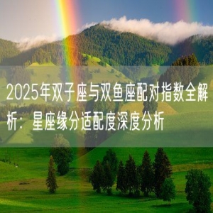 2025年双子座与双鱼座配对指数全解析：星座缘分适配度深度分析