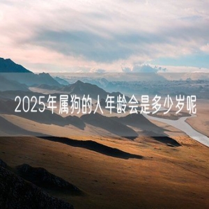 2025年属狗的人年龄会是多少岁呢