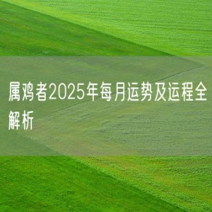 属鸡者2025年每月运势及运程全解析