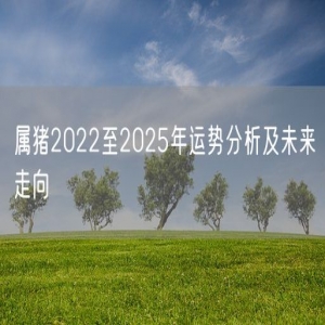 属猪2022至2025年运势分析及未来走向