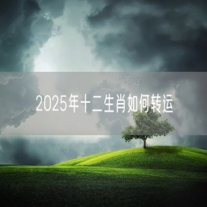 2025年十二生肖如何转运