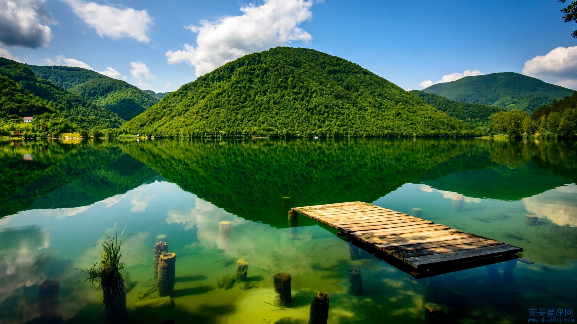 聪明机智不会上当受骗的生肖女性都有哪些(图1)