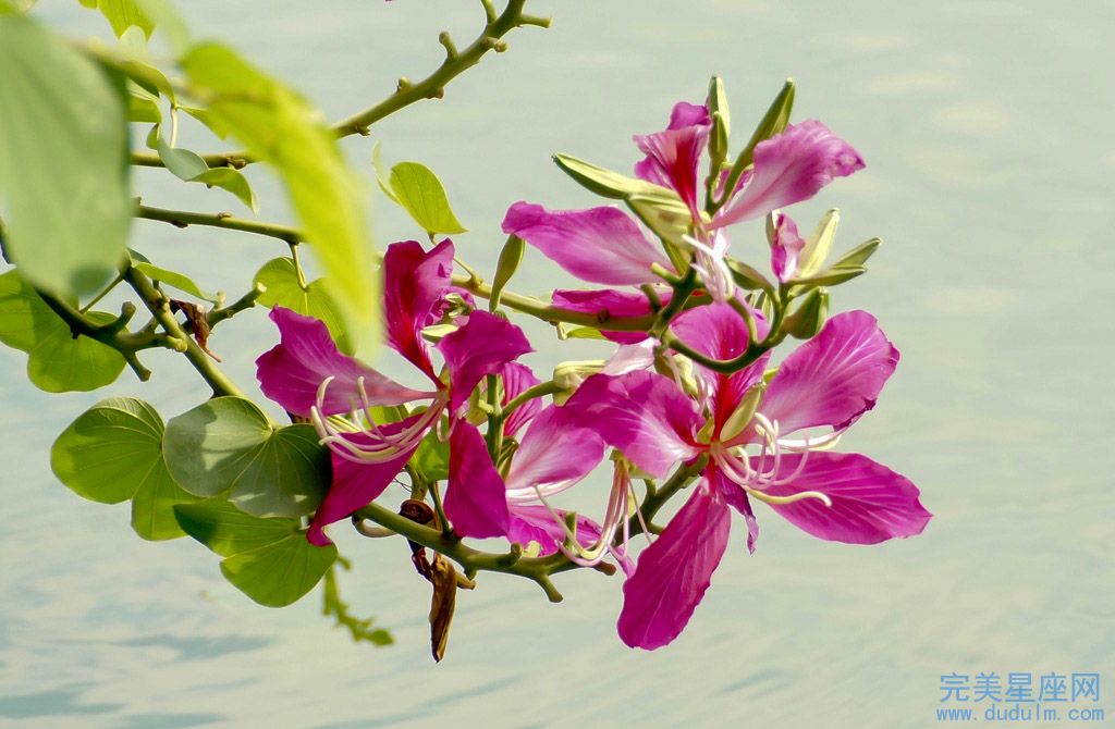 2022年适合生孩子的属相 财运也会提升(图1) 2022年适合生孩子的属相 财运也会提升(图1)