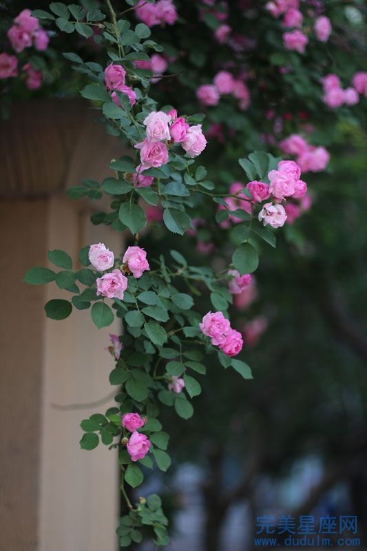 女性犯月的危害和化解破月的最佳方法(图1)