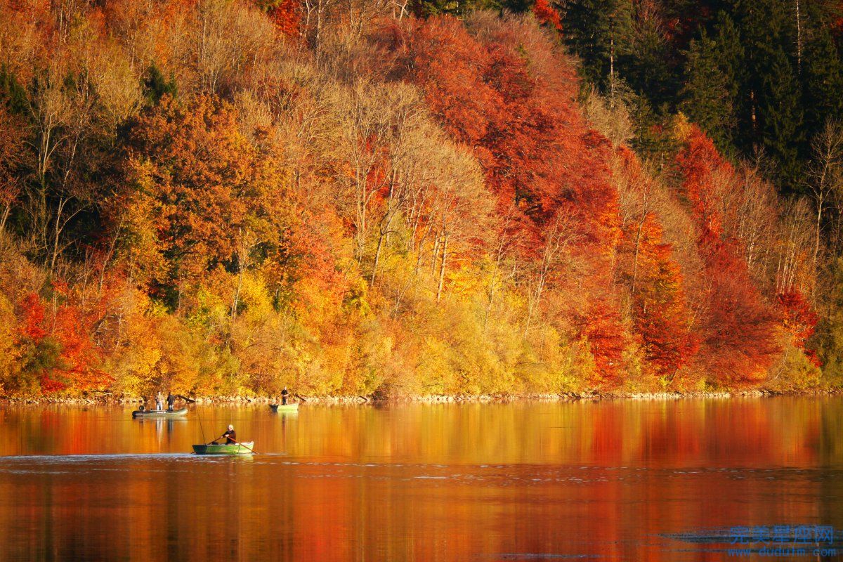 属龙与属蛇适合合作吗 对事业有帮助吗(图1)