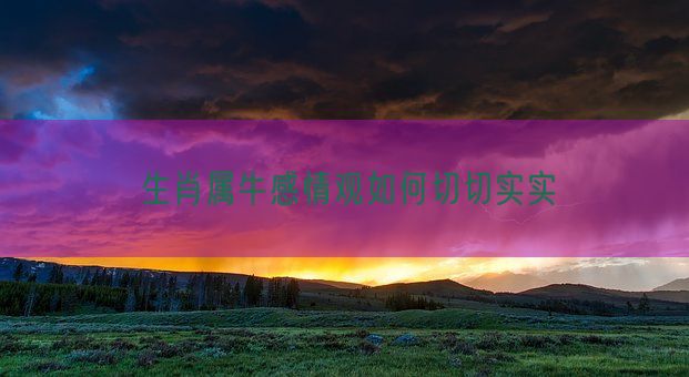 生肖属牛感情观如何切切实实(图1) 生肖属牛感情观如何切切实实(图1)
