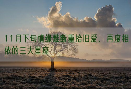 11月下旬情缘难断重拾旧爱，再度相依的三大星座(图1)