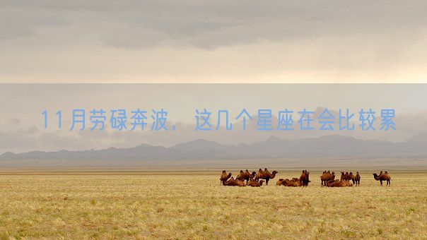 11月劳碌奔波，这几个星座在会比较累(图1)