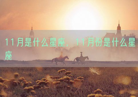 11月是什么星座，11月份是什么星座(图1)