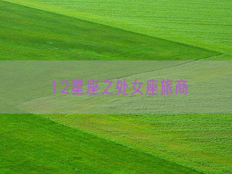 12星座之处女座旅商(图1) 12星座之处女座旅商(图1)