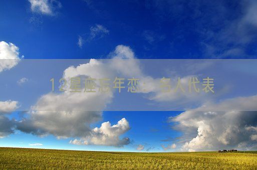 12星座忘年恋：名人代表(图1)