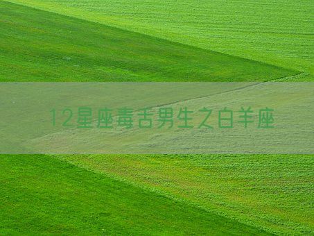 12星座毒舌男生之白羊座(图1)