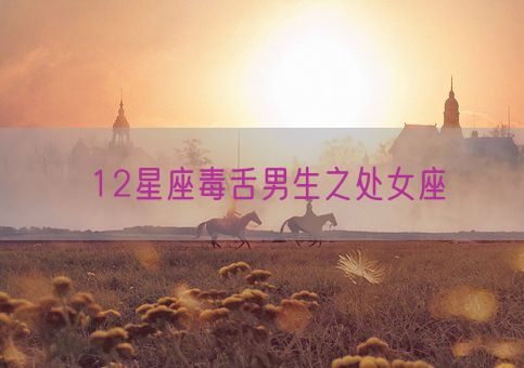 12星座毒舌男生之处女座(图1) 12星座毒舌男生之处女座(图1)