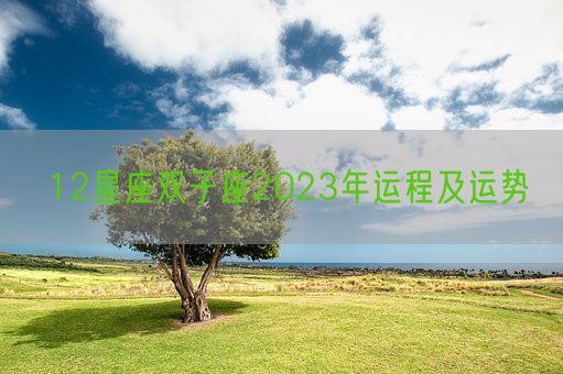 12星座双子座2023年运程及运势(图1) 12星座双子座2023年运程及运势(图1)