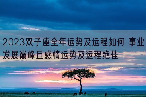 2023双子座全年运势及运程如何 事业发展巅峰且感情运势及运程绝佳(图1)