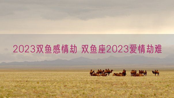 2023双鱼感情劫 双鱼座2023爱情劫难(图1)