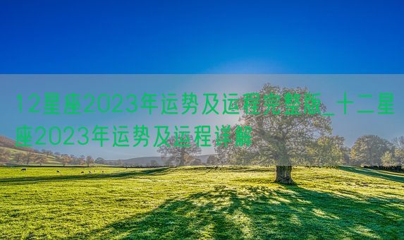 12星座2023年运势及运程完整版_十二星座2023年运势及运程详解(图1)