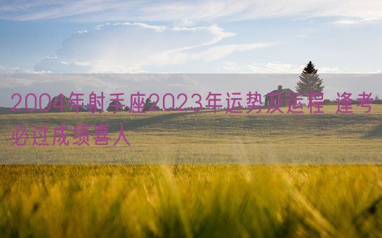 2004年射手座2023年运势及运程 逢考必过成绩喜人(图1)