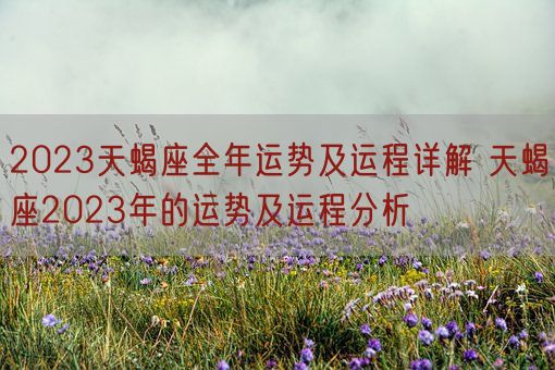 2023天蝎座全年运势及运程详解 天蝎座2023年的运势及运程分析(图1)