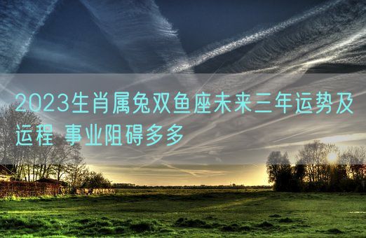 2023生肖属兔双鱼座未来三年运势及运程 事业阻碍多多(图1)