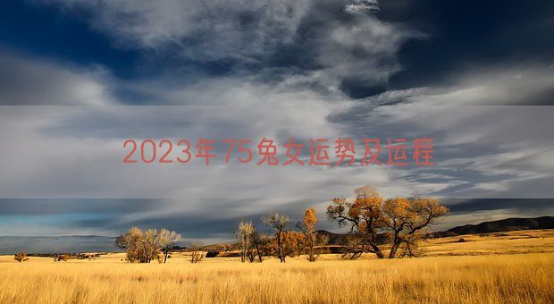 2023年75兔女运势及运程(图1)