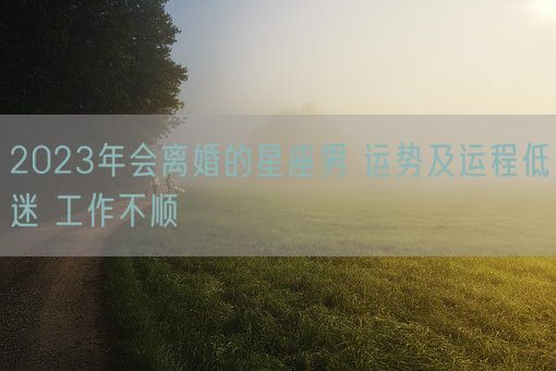 2023年会离婚的星座男 运势及运程低迷 工作不顺(图1)