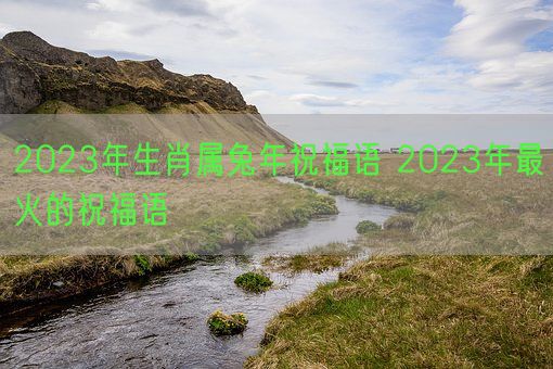 2023年生肖属兔年祝福语 2023年最火的祝福语(图1)