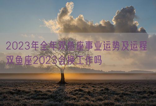 2023年全年双鱼座事业运势及运程 双鱼座2023会换工作吗(图1)