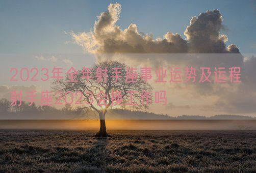 2023年全年射手座事业运势及运程 射手座2023会换工作吗(图1)