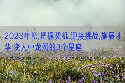 2023年初,把握契机,迎接挑战,施展才华,变人中龙凤的3个星座(图1)