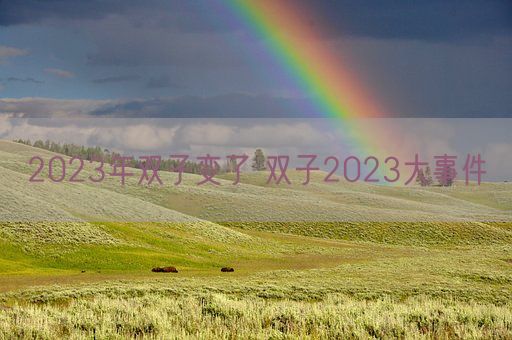 2023年双子变了 双子2023大事件(图1) 2023年双子变了 双子2023大事件(图1)