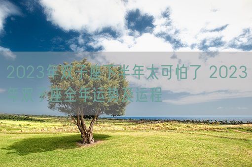 2023年双子座下半年太可怕了 2023年双子座全年运势及运程(图1)