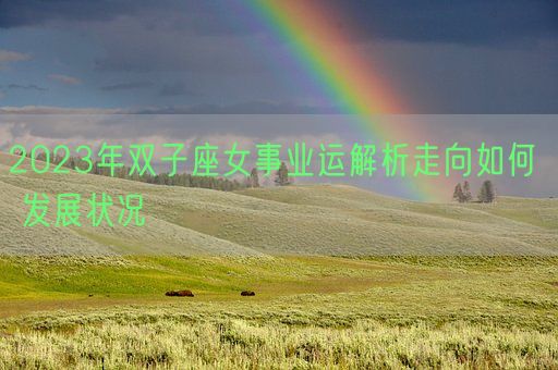 2023年双子座女事业运解析走向如何  发展状况(图1)