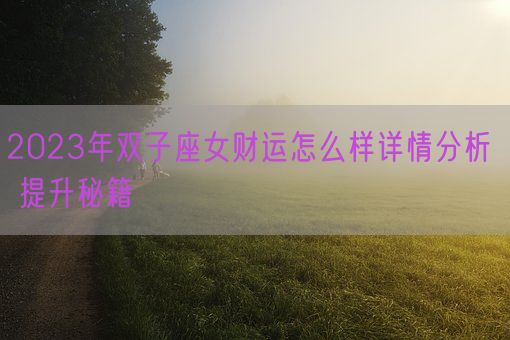 2023年双子座女财运怎么样详情分析  提升秘籍(图1)