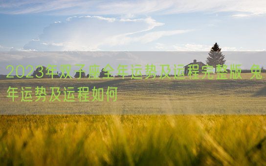 2023年双子座全年运势及运程完整版 兔年运势及运程如何(图1)