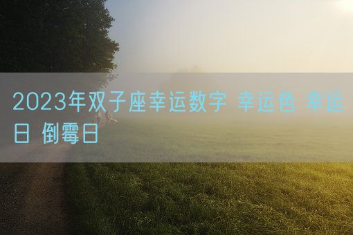 2023年双子座幸运数字 幸运色 幸运日 倒霉日(图1)