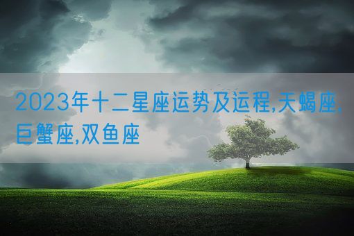 2023年十二星座运势及运程,天蝎座,巨蟹座,双鱼座(图1)