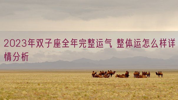 2023年双子座全年完整运气 整体运怎么样详情分析 (图1) 2023年双子座全年完整运气 整体运怎么样详情分析 (图1)