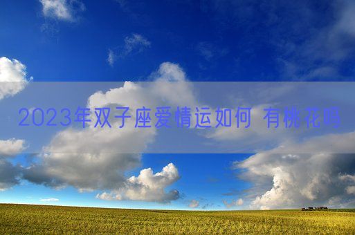 2023年双子座爱情运如何 有桃花吗(图1) 2023年双子座爱情运如何 有桃花吗(图1)